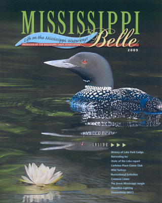 Mississippi Belle Cover Page - SERIES.jpg