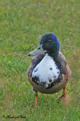 g1/02/654702/3/131410963.H5LbPz4i.jpg