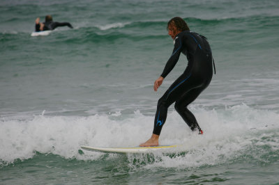 surf295w.jpg