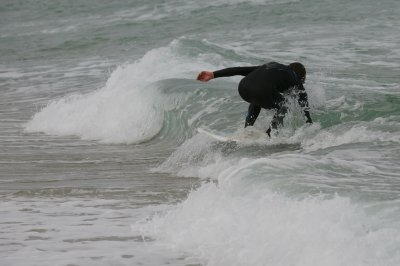 surf298w.jpg