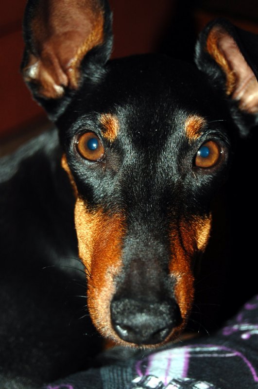 ...cant I just sleep in peace....please!!