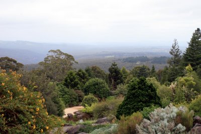 View from Mt Tomah