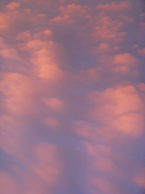 g1/02/694302/3/98082412.PbQrSghB.jpg