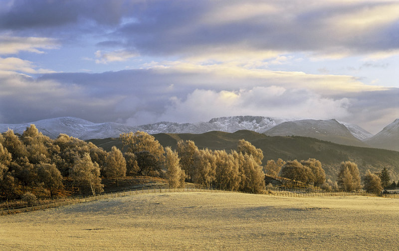 Cairngorm View