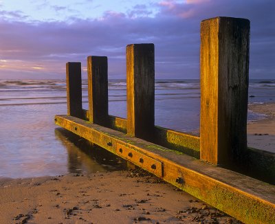 Golden Groyne