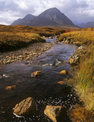 Autumn Buchaille