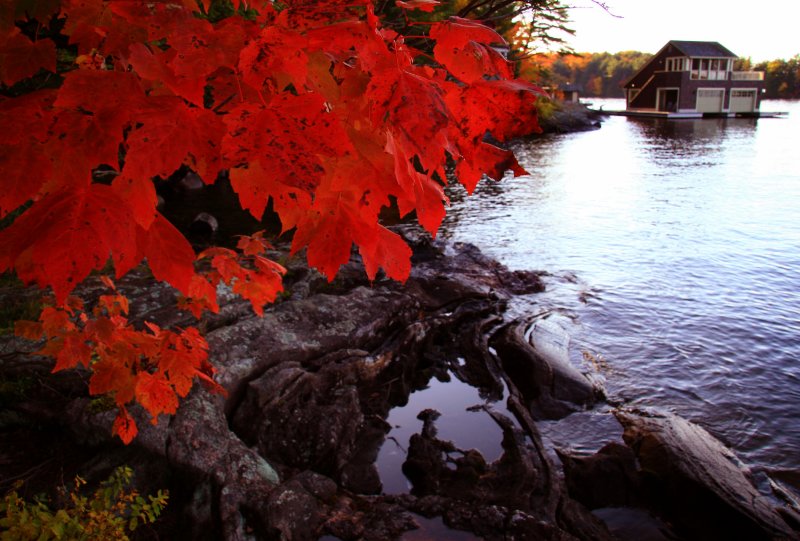 Lake Rosseau Fall Colour