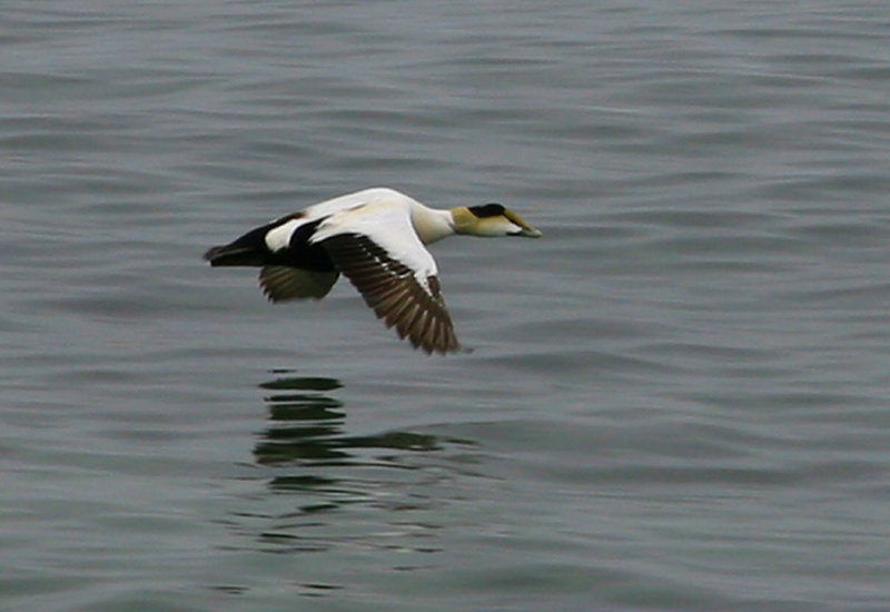IMG_5735.JPG