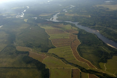 _DSC8381 OK Terre du lac St-Jean.jpg