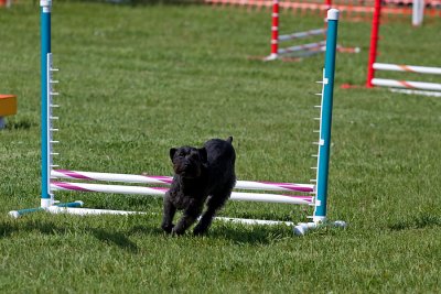 IMG_0543.jpg