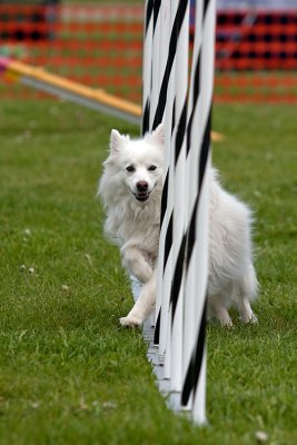IMG_0579.jpg