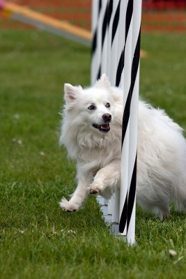 IMG_0585.jpg