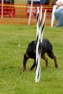 IMG_0761.jpg