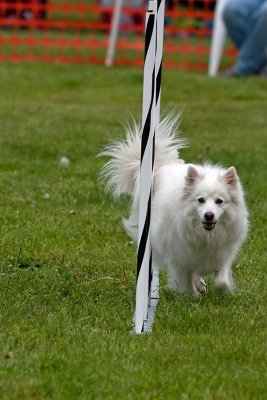 IMG_0769.jpg