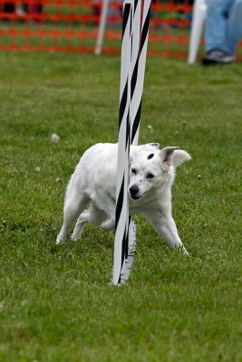 IMG_0811.jpg