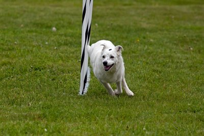 IMG_0814.jpg