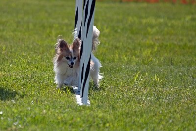 IMG_0873.jpg