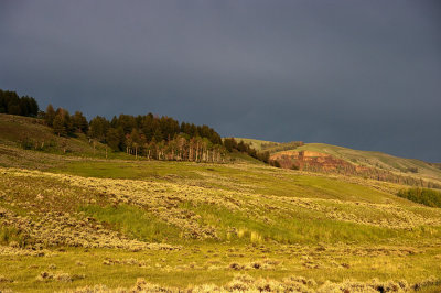 K20D7522.jpg