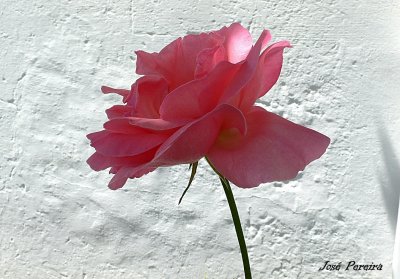 g1/02/746002/3/132294264.HMkOKGb0.jpg