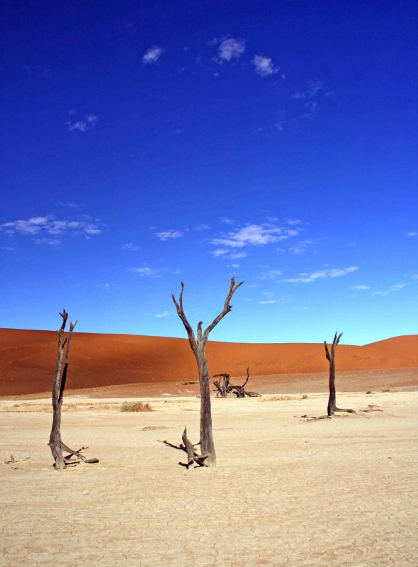 Dooievlei  - Dead Vlei