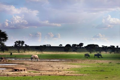 Waterhole near Nossob