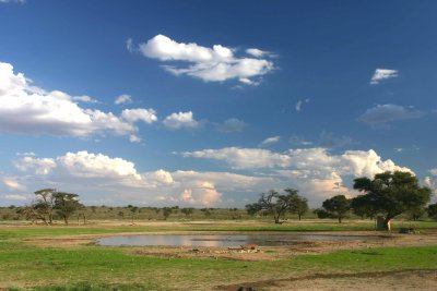 Kgalagadi Landscape