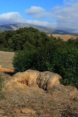 Overberg Caledon District