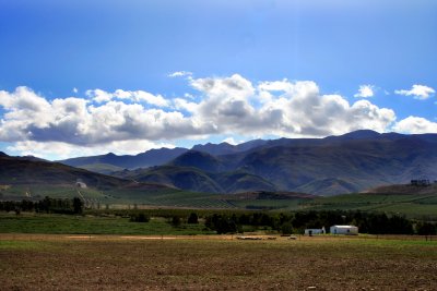 Overberg Landscape 1