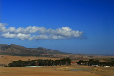 Overberg Landscape 2