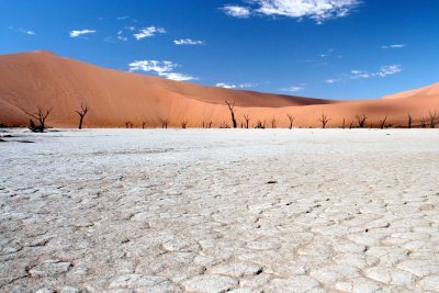 2008 Deadvlei / Dooievlei