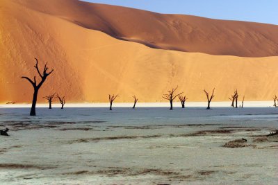 Dead Trees in Deadvlei - Namibia 3