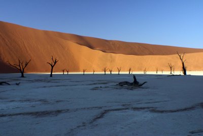Dead Trees in Deadvlei - Namibia 4