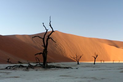 Dead Trees in Deadvlei - Namibia 5