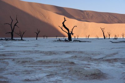 Dead Trees in Deadvlei - Namibia 8