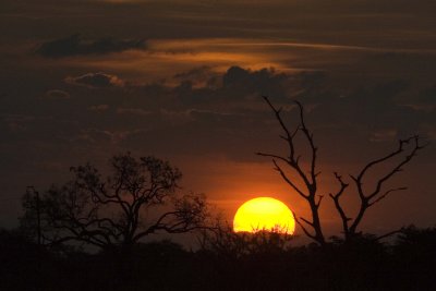 Sunset in Hwange 1