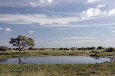 Okaukeujo waterhole