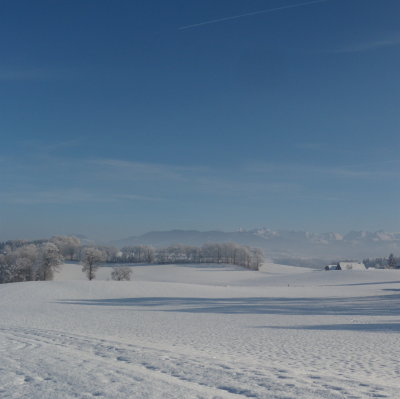 Pierrafortscha 04.01.09