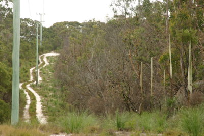 renos straddie 1007 140.jpg