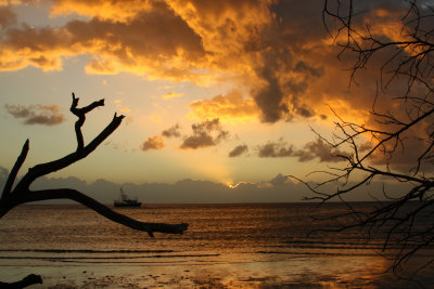 straddie 0309 314.JPG
