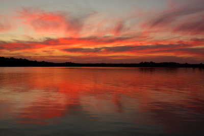 tassie0209 520.JPG