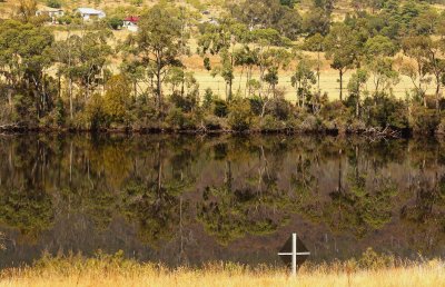 tassie0209 807 sm.jpg