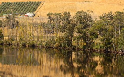 Tasmania