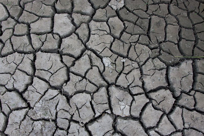 65_2680 Dry Soil, Damp Soil