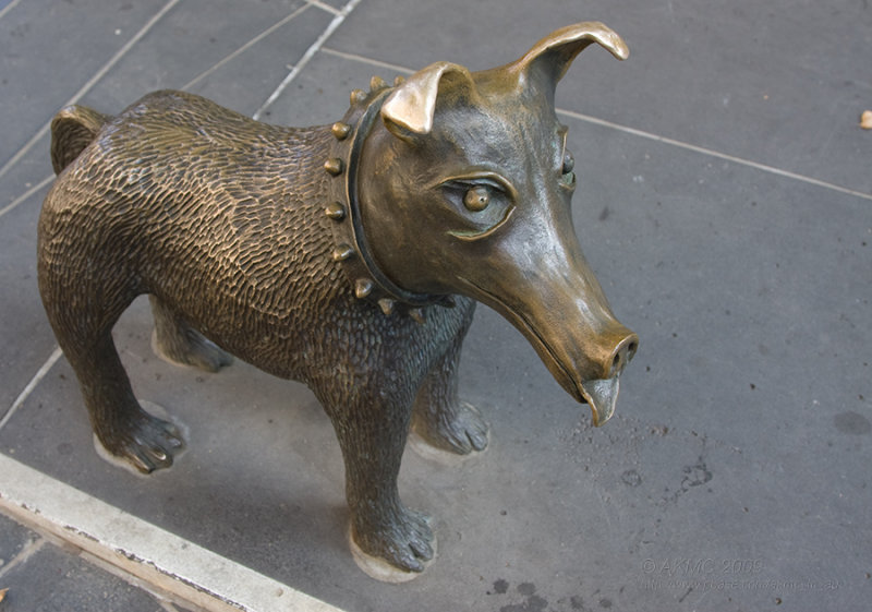090411_1633_3716 - 16:33 Feral Dog Statue (Larry La Trobe)