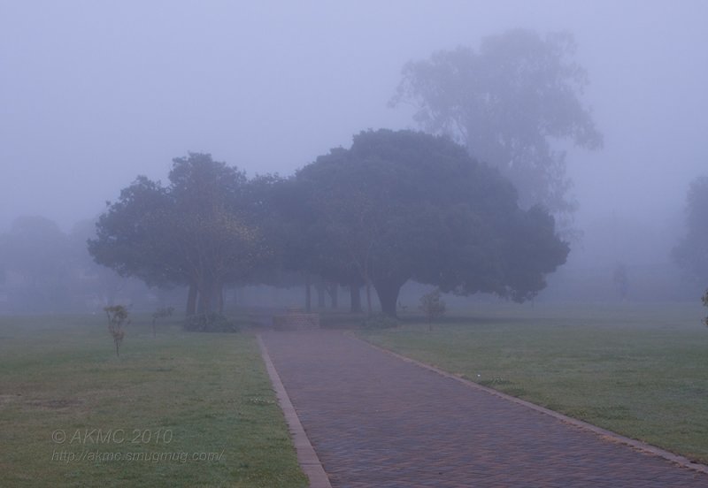 20100910_10343 The Misty Path (Fri 10 Sep)