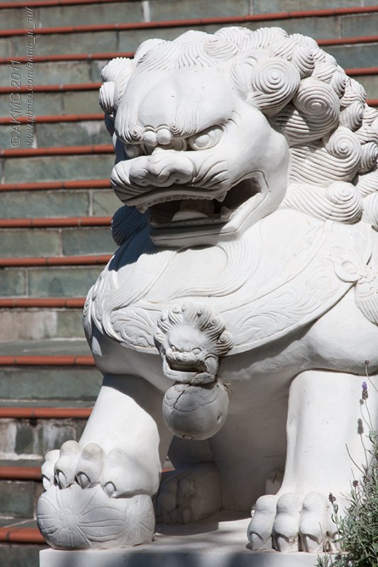 14138 Guardian Lion