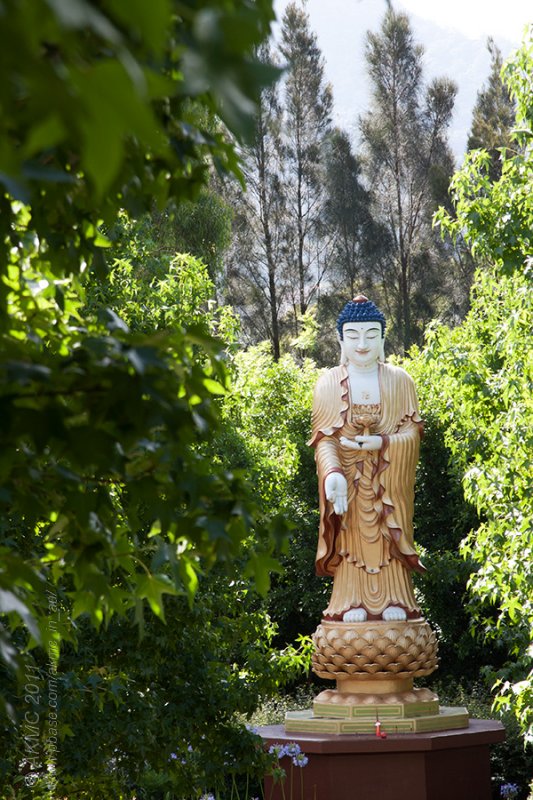 14149 Enlightenment At The End Of The Pathway