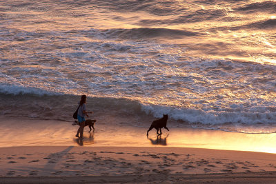 20101114_11876 Into The Surf (Sun 14 Nov)