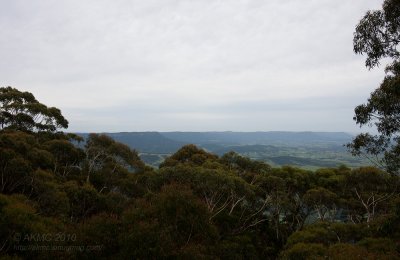12470 View To The Escarpment