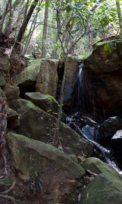 110102_133512_13817 The Waterfall